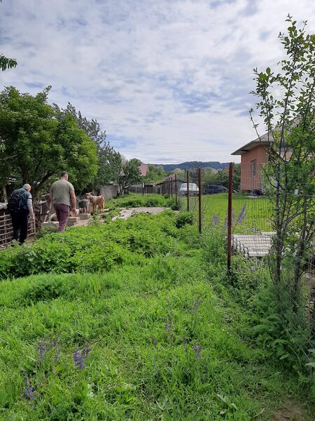 Valenii de Munte- Drajna de Sus- Ogretin - 4000 mp