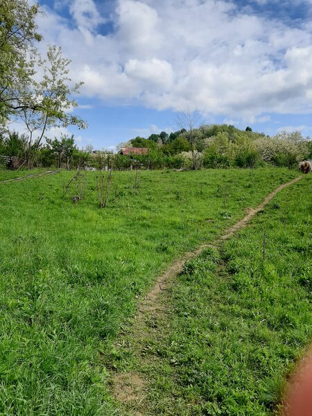 Valenii de Munte- Drajna de Sus- Ogretin - 4000 mp